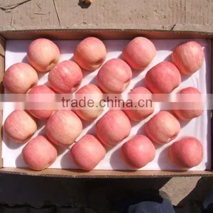 2011 Delicious Fuji Apple thumbnail-1