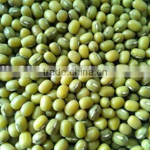 China Green Mung Bean thumbnail-1