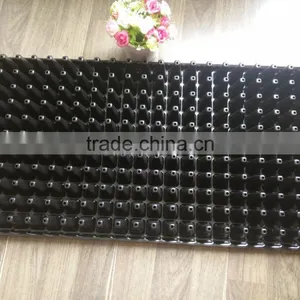 242 Cell Cheap Price Good Quality Nursery Plant Trays, Stock MOQ 1000pcs thumbnail-2