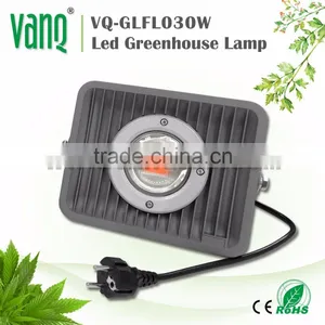 Led Cob Grow Light 30w Cob Led Epistar Chip Cob Full Spectrum 100 Watt Led Grow Light thumbnail-2