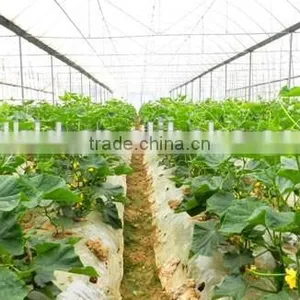 Cheap Tunnel Vegetable Greenhouse With Shading Screen thumbnail-5