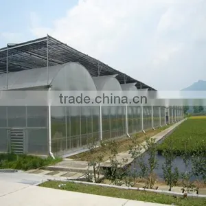 High Quality Commercial Used Plastic Sheet Covering Greenhouse for Sale thumbnail-1