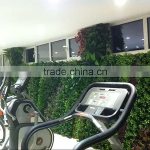 Artificial Green Wall for Gymnasium thumbnail-1