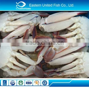 Seafood IQF Fresh Blue Swimming Crab Supplier thumbnail-1