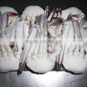 Best Quality Frozen Fresh Crab thumbnail-1
