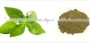 TULSI POWDER EXTRACT thumbnail-1