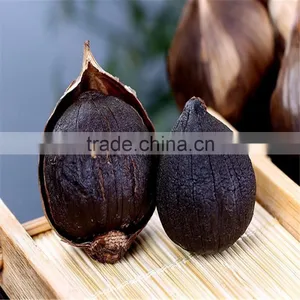 High Quality and Top Quality Fermented Peeled Solo Black Garlic thumbnail-6