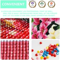 Factory Supply 3d Diy Diamond Natural Bird Of Wonder Picture thumbnail-3