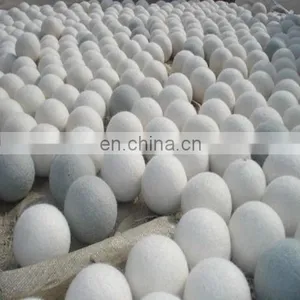 6-Pack XL 100% Wholesale Wool Dryer Balls thumbnail-1