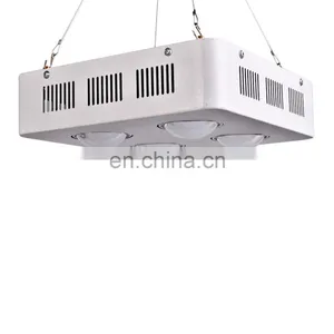 New Indoor Grow Lights 1200W Full Spectrum COB LED Grow Plants thumbnail-4