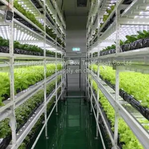 Hydroponic Plant Factory Autopot Artificial Light System Grow Cabinet Kit Systems for Agriculture thumbnail-1