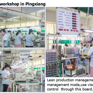 Ping Xiang ChengPin Technology Co.,Ltd company overview - view 2 thumbnail