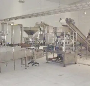Canned Red Bean and Red Kidney Bean Production Line thumbnail-3