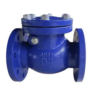 Manufacturer Direct Sales of High-quality Flange Swing Check Valve thumbnail-1