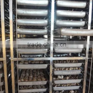 Factory Direct Sell Black Garlic Fermentation Box Price thumbnail-6