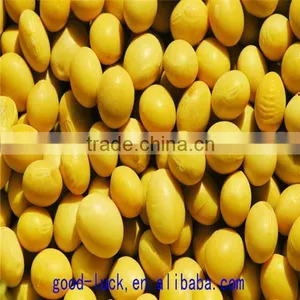 Soya Beans ,non-GMO,good Quality,cheap Price thumbnail-4