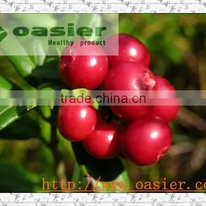 Natural Lingonberry Extract 25%Anthocyanidin thumbnail-1
