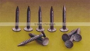 Common Nail thumbnail-1
