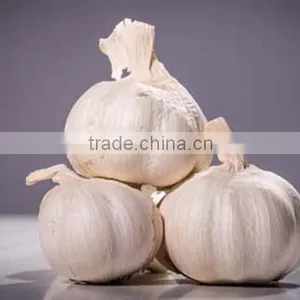 2016FRESH GARLIC thumbnail-5