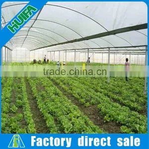 8m Width Multi-span Plastic Film Tunnel Vegetable Greenhouses for Sale thumbnail-3