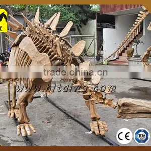 Dinosaur Skeleton From Zigong HLT Dinosaur Skeleton Manufacture thumbnail-1