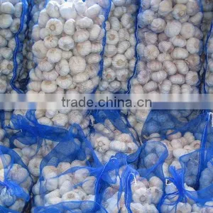 New Crops Fresh Garlic 4.5cm-6.0cm thumbnail-4