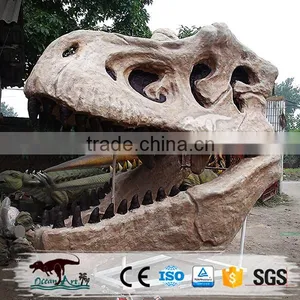 OA-SD-L02 Original Jurassic Skeleton Real Size Dinosaur Head Fossils thumbnail-3