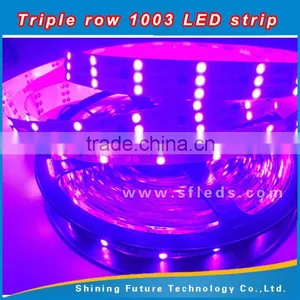 Decoration 5050 SMD 1003 ic Ouside Waterproof DC12V Addressable Triple Row Led Strip thumbnail-4