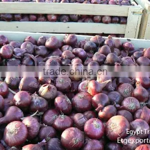 Fresh Red Onion thumbnail-1