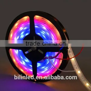 Dream Color Waterproof IP68 5V 5050 RGB Led Flexible Strip thumbnail-2