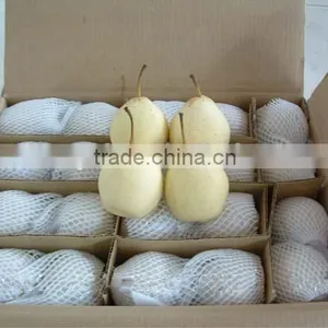 New Crop Fresh Ya Pear thumbnail-3