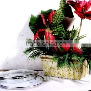 Clear Tempered Glass Lid for Cookware thumbnail-4