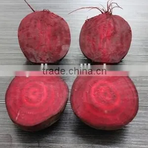 Canned Beetroot Sliced in Tin thumbnail-6