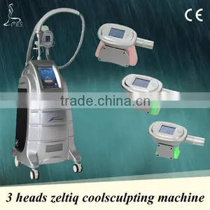 2015 Hot Selling 3 Treatment Handles of Cryolipolysis for Weight Loss, Super Frozen Wave Control Technology thumbnail-1