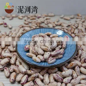 New CROP Light Speckled Kidney Bean 2016 Crop Hot Sale thumbnail-4