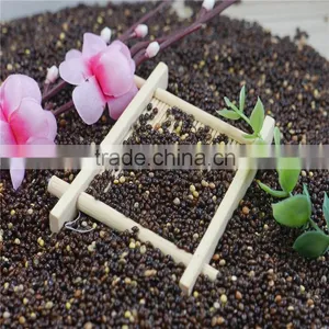 New Crop 2016 Black Broomcorn Millet Black Millet thumbnail-5