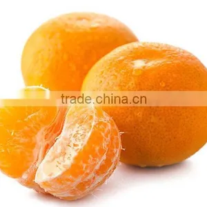 Fresh Ponkan Orange for Sale South Africa Orange Exporters thumbnail-1