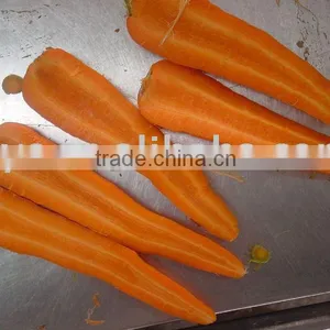 Fresh Carrot thumbnail-1