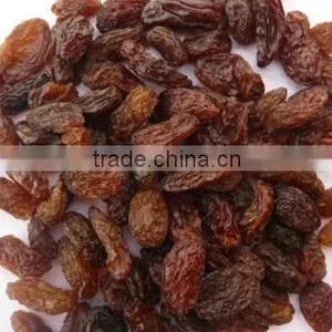 GOOD QUALITY INDUSTRIAL RAISIN BEST RATE thumbnail-5