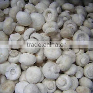 Greenhouse Advanced Production Cultivation Greenhouses for Mushroom thumbnail-2