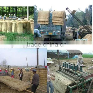 Straw Screen Machine thumbnail-1