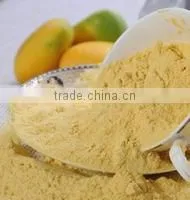 Natural Mango Extract Beverage Powder Factory Spray Dried Mango Powder thumbnail-1