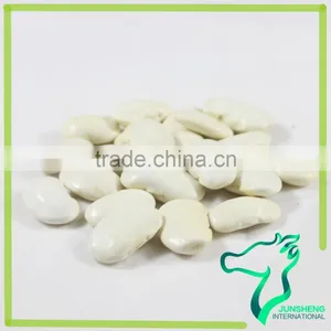 Large White Kidney Beans Current Beans Make Soup thumbnail-4