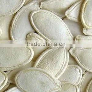 Wholesale Shine Skin Pumpkin Seeds With Top Quality thumbnail-3