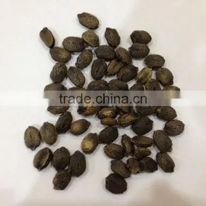 Linong Green Bitter Melon the Gourd Seed thumbnail-1