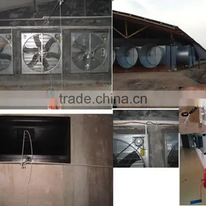 Broiler Poultry Farm Equipment thumbnail-6