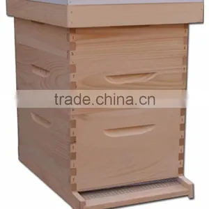 Dadant Beehive/ Langstroth Beehive / British Beehive thumbnail-5