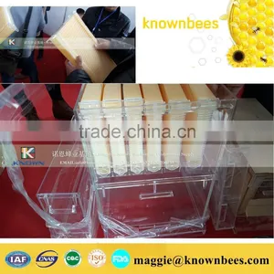 Plastic Beehive Frame Beehive Box/bee Box for Apiculture Plastic Beehive Frame thumbnail-1