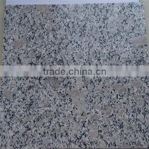 G383 Pearl Flower Granite Stone From Shandong China thumbnail-6