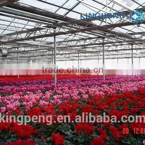 Greenhouse for Growing Flowers thumbnail-2